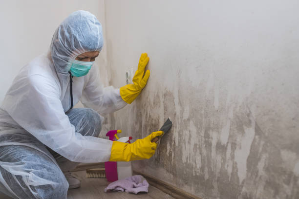 Best Air Quality Testing for Mold Spores  in Camp Croft, SC