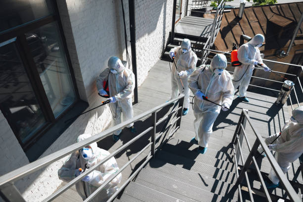 Best Forensic Mold Investigation  in Camp Croft, SC