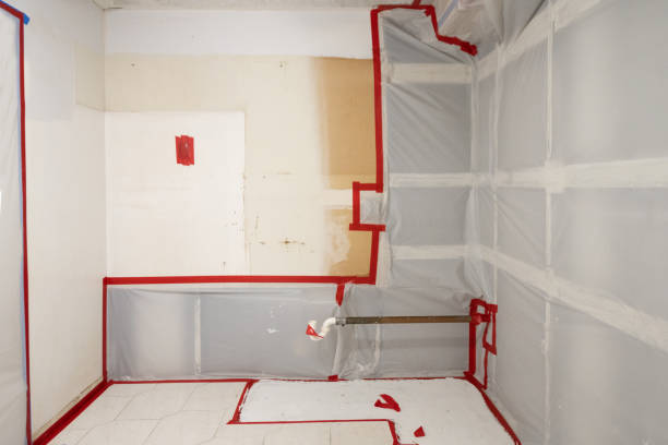 Mold Odor Removal Services in Camp Croft, SC