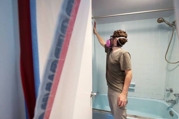 Best Industrial Mold Remediation  in Camp Croft, SC
