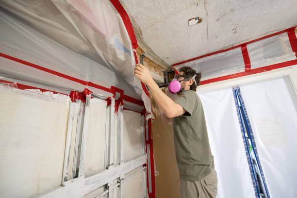Best Environmental Consulting for Mold Prevention  in Camp Croft, SC