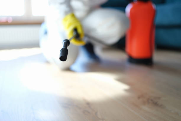 Best Emergency Mold Remediation  in Camp Croft, SC