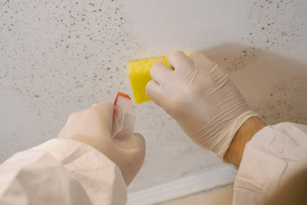 Best Biohazard Mold Removal  in Camp Croft, SC