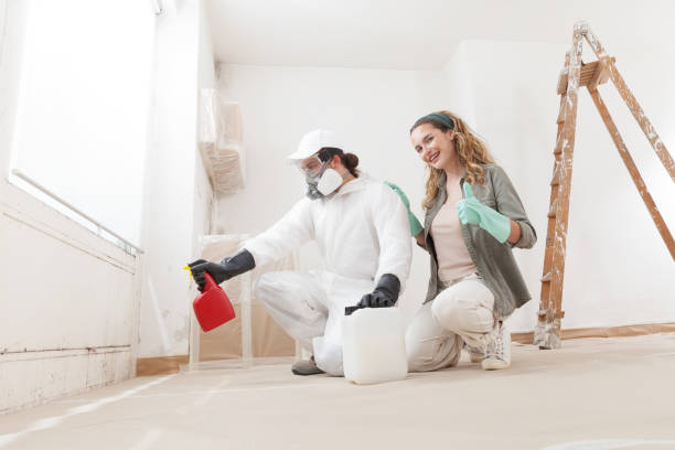 Best Commercial Mold Inspection  in Camp Croft, SC