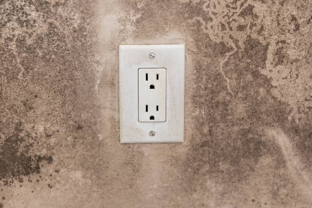 Best Water Damage & Mold Remediation  in Camp Croft, SC